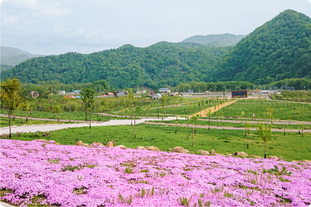 小金湯さくらの森