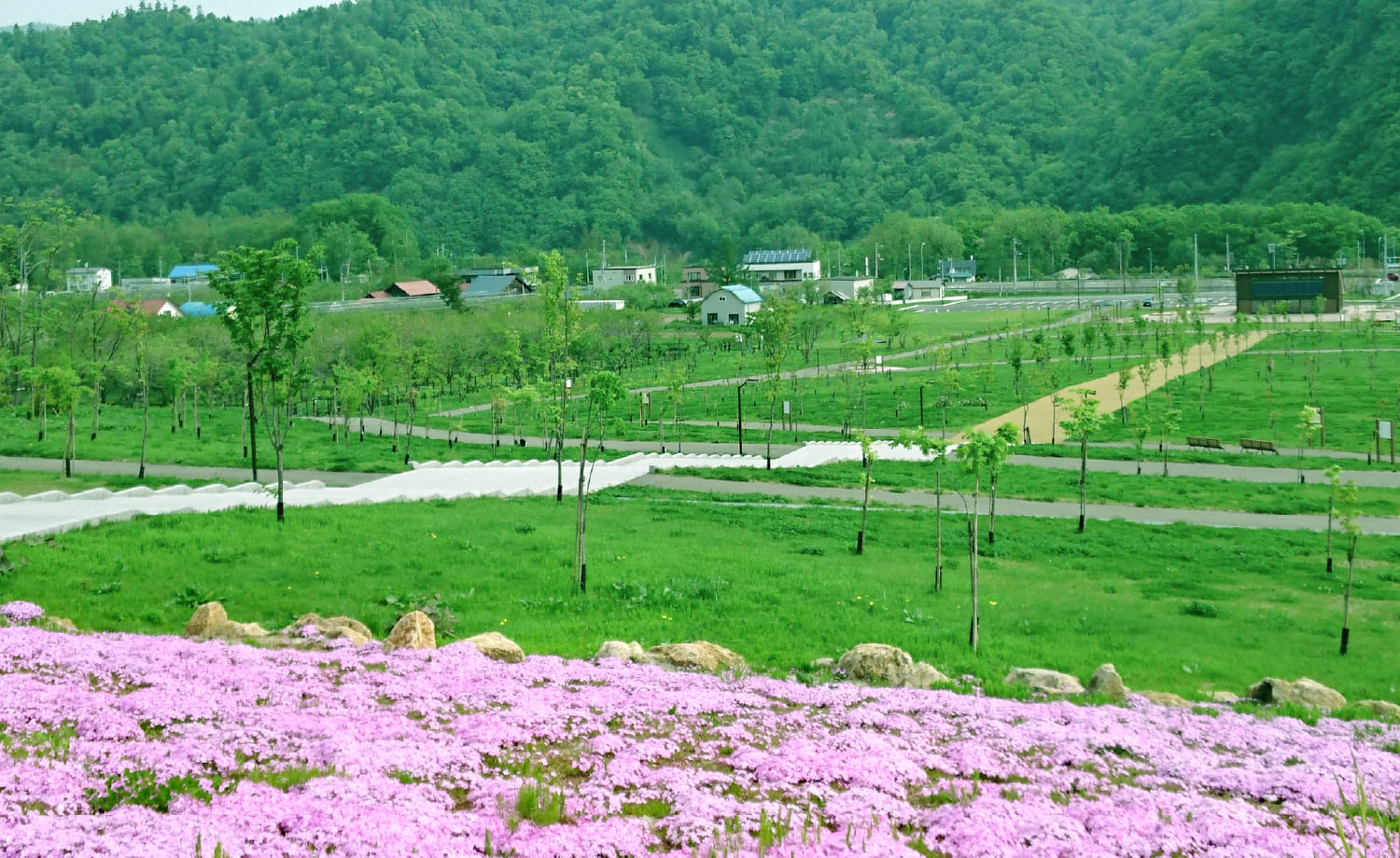 小金湯さくらの森