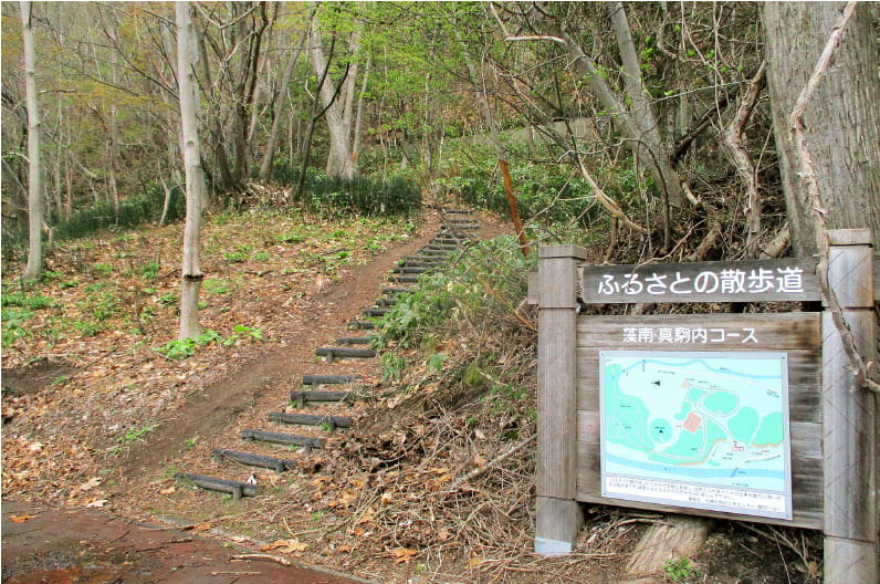 ふるさとの散歩道