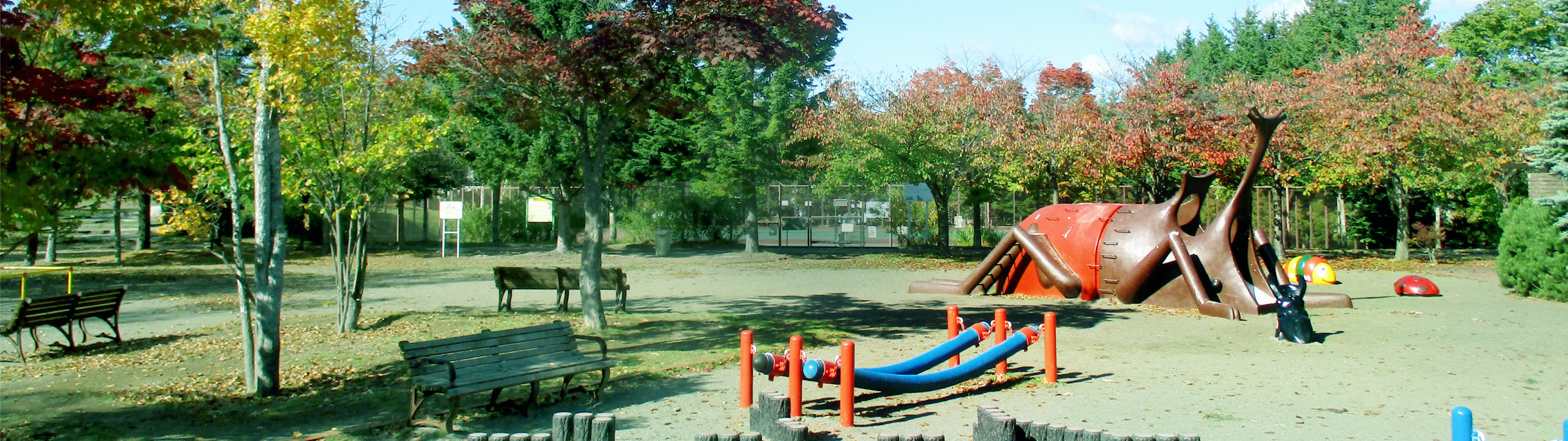 常盤公園